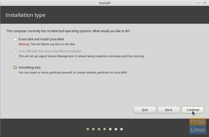 Linux Mint installation - Options