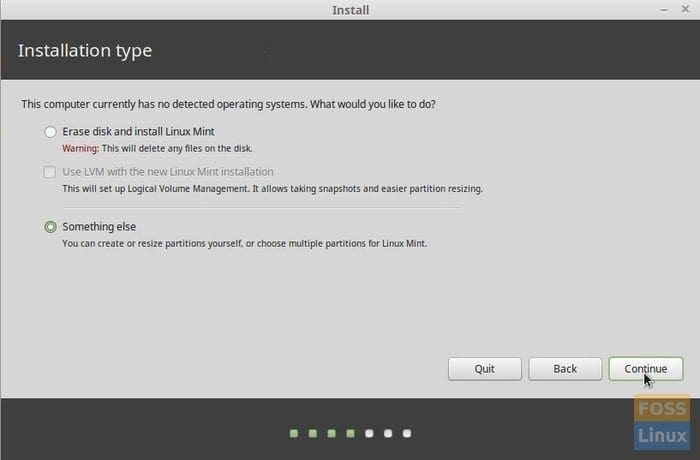 Linux Mint installation - Options