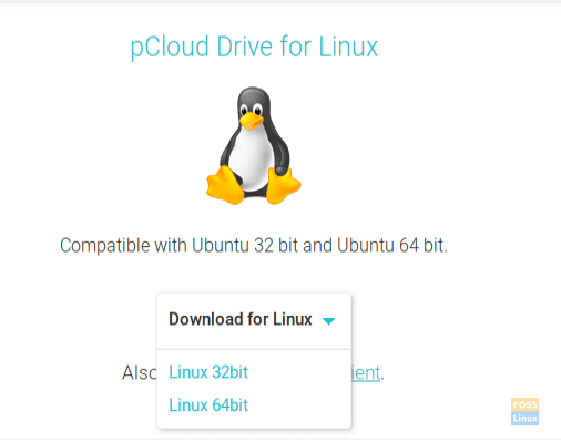Download Pcloud Drive For Linux 64 Bit