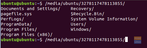 Locate The Windows Partition In Your Terminal