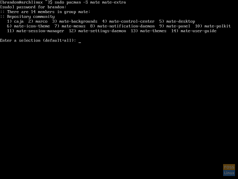 Screenshot of using Pacman to install MATE