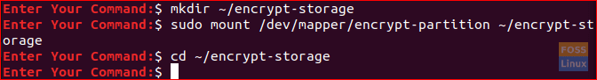 Mount Encrypt Partition