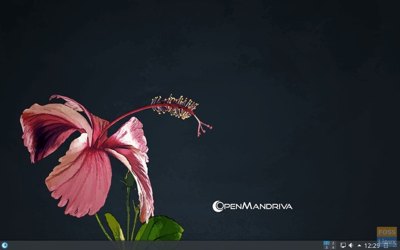 OMLx 4.0 Plasma Desktop