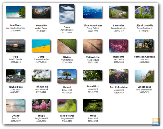 Linux-Mint-19.02-Wallpapers.png