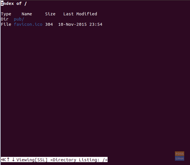 Browse Website Using w3m On Ubuntu 2