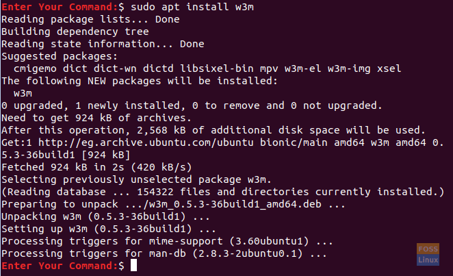 Install The w3m Package On Ubuntu