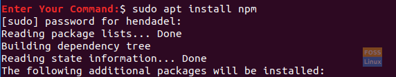 Install npm Package