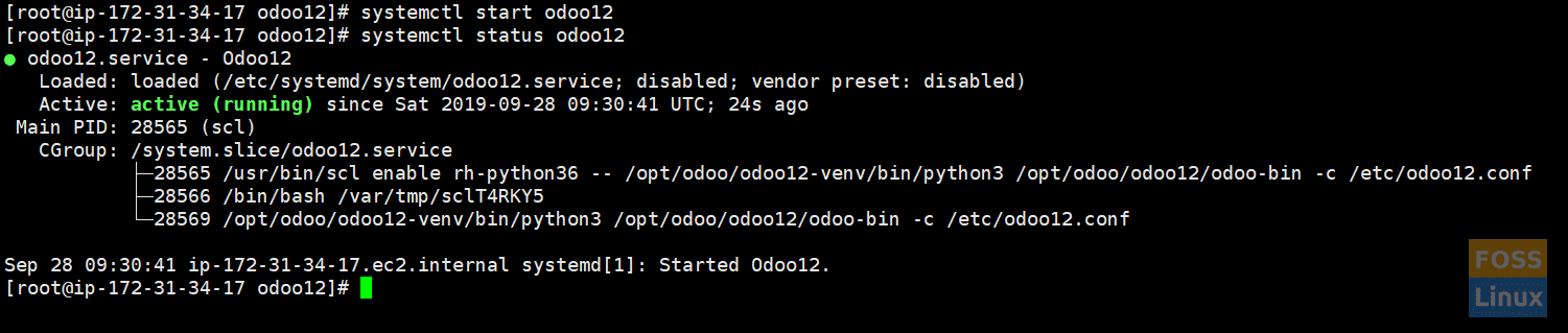 Odoo Service Status