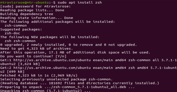 Install the zsh shell on Ubuntu 19.10 via "sudo apt install"