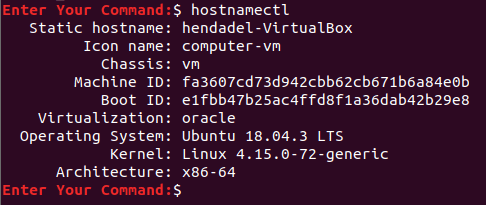 Display Ubuntu Version Only Using The hostnamectl Command