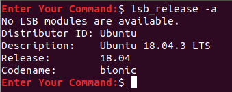 Display Ubuntu Version Using The lsb Command