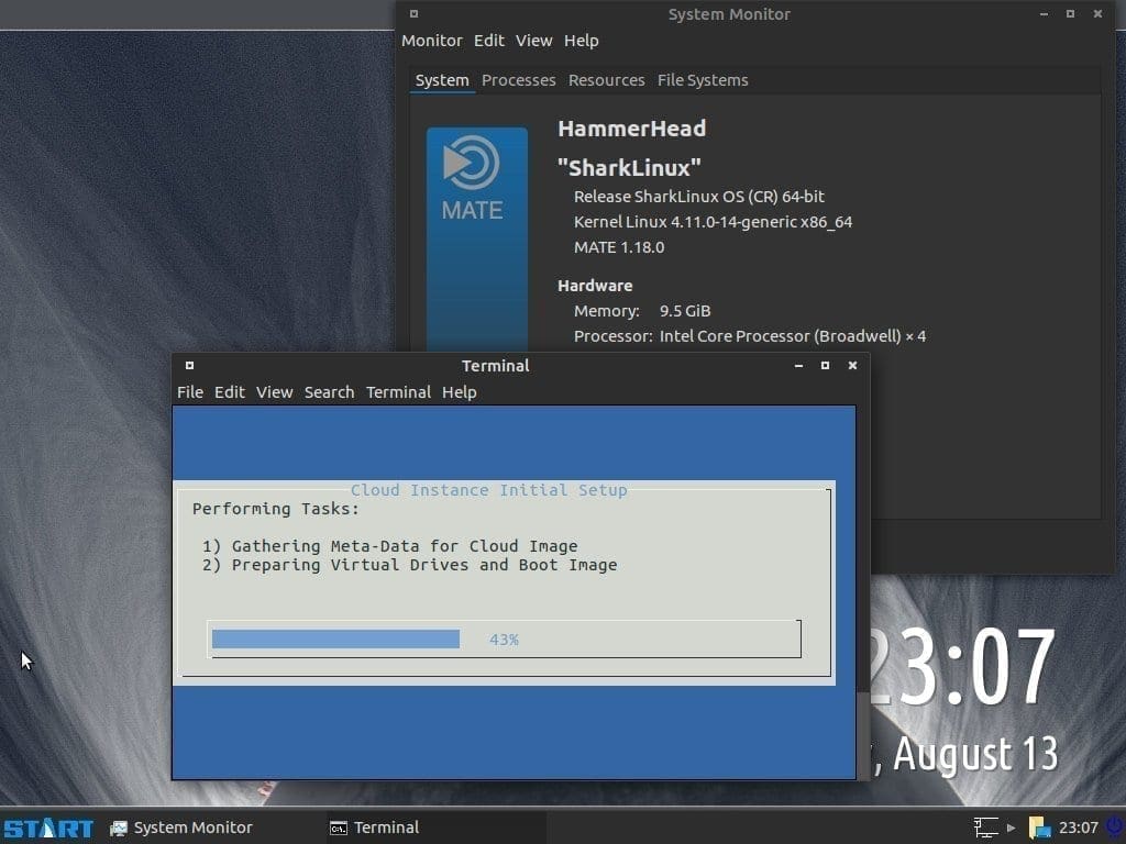 Shark Linux Terminal