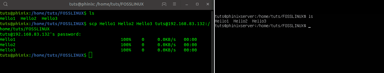 Copy multiple files using SCP