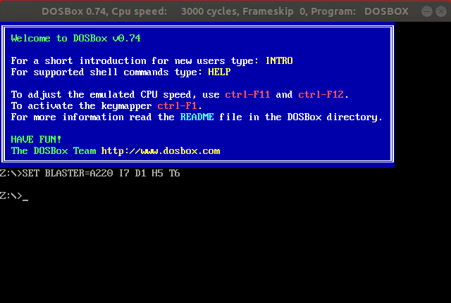 Launch DOSBox