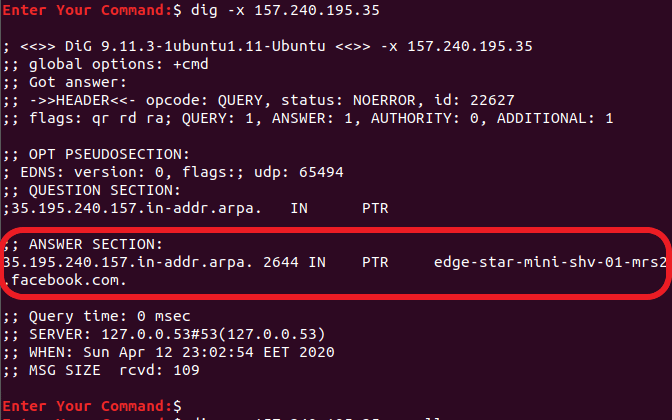 Check The Reverse DNS Using The Dig Command