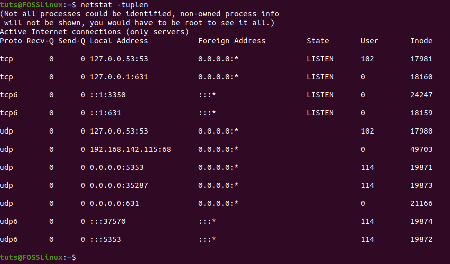 netstat-tuplen