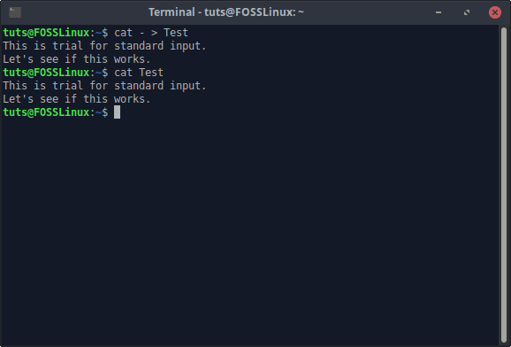 cat writing from standard input