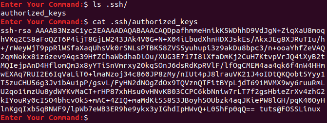 From the Remote Machine Check SSH key File Coppied Successfully