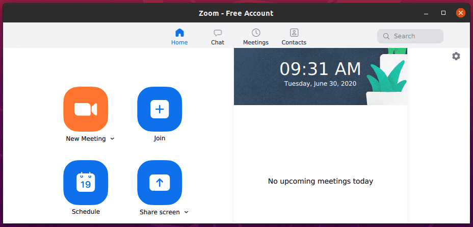 Zoom Free account window.