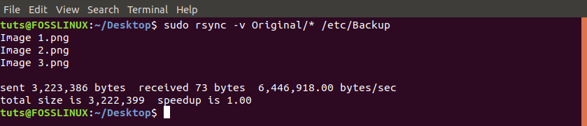 rsync -v (verbose) command