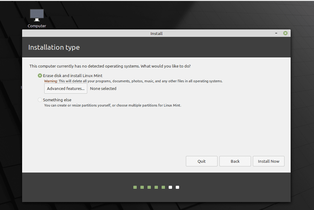 Linux Mint Installation Erase Disk