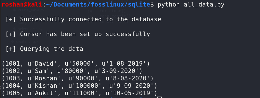 querying data from sqlite using pyhon