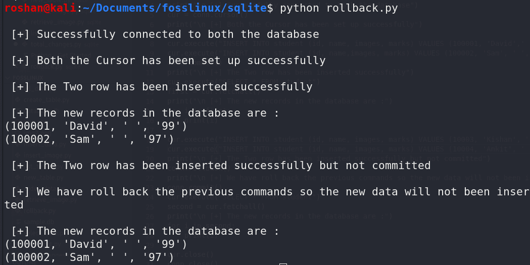 rollback in sqlite