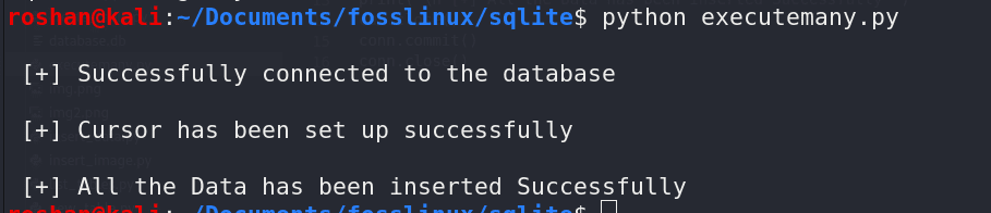 executemany in sqlite using python