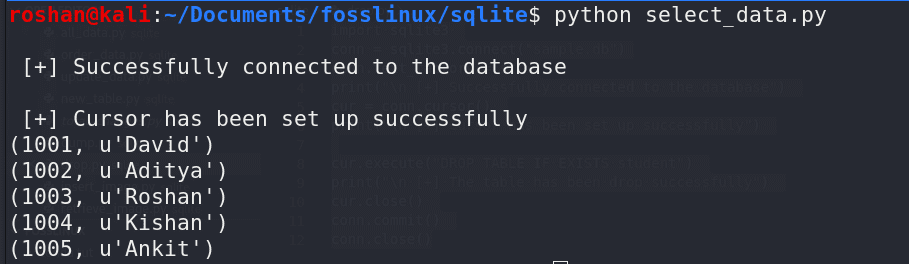 query data from sqlite database using python