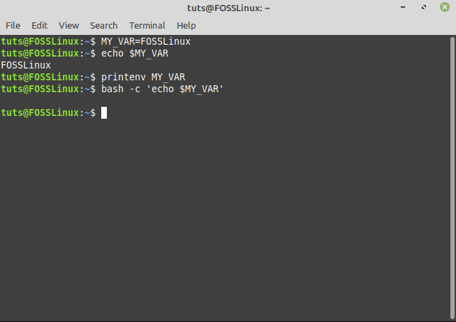 setting a shell variable and verifying it