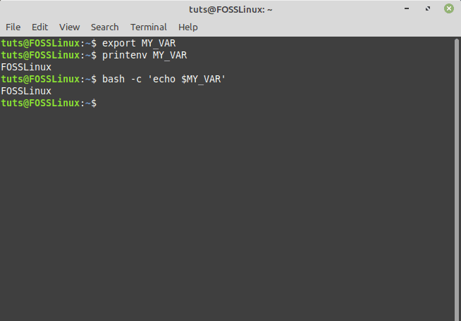 setting an environment variable and verifying it