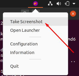 Choose the Take Screenshot Option