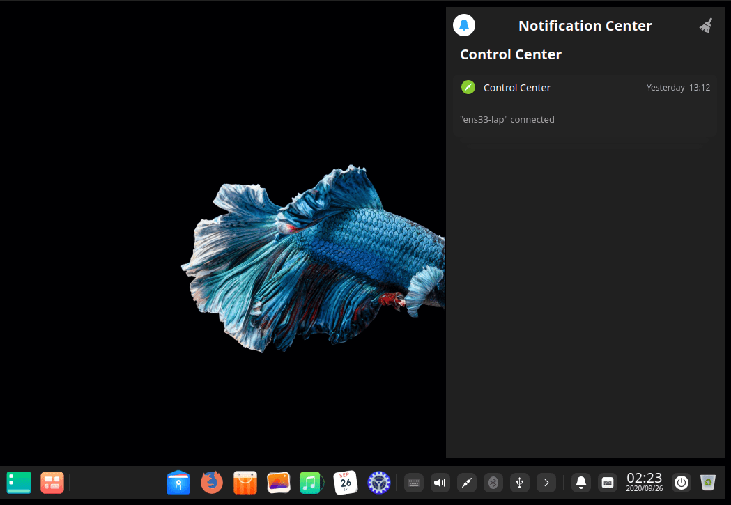 Deepin 20 Notification center