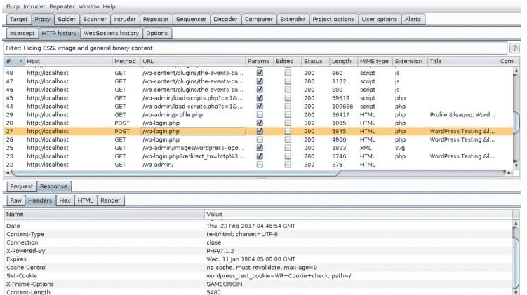 Burpsuite