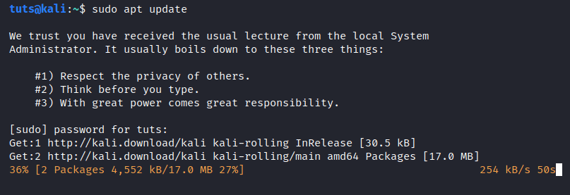 Update Kali System