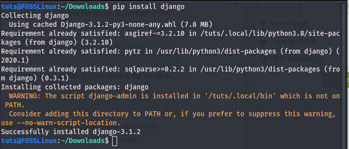 installing a package using pip