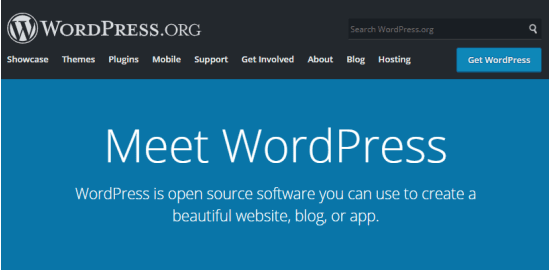 WordPress CMS