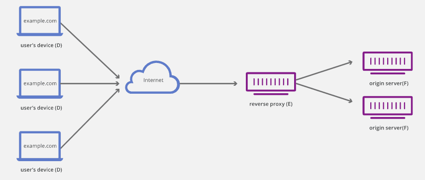 reverse proxy