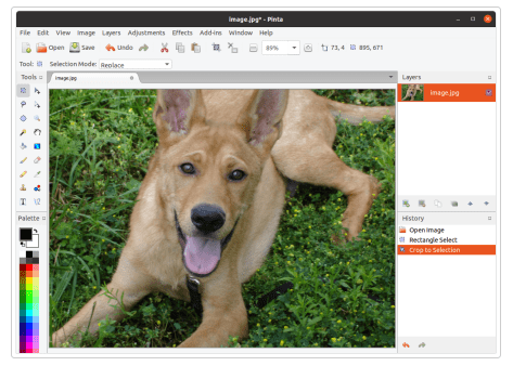 Pinta free and open-source photo editor