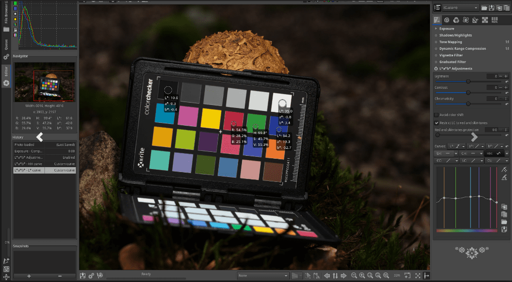 RawTherapee free and open-source photo editor