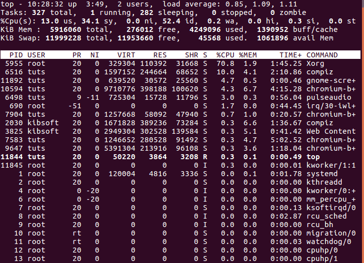 The top Command Results