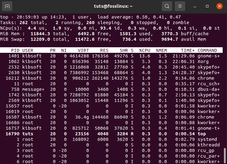 top command results