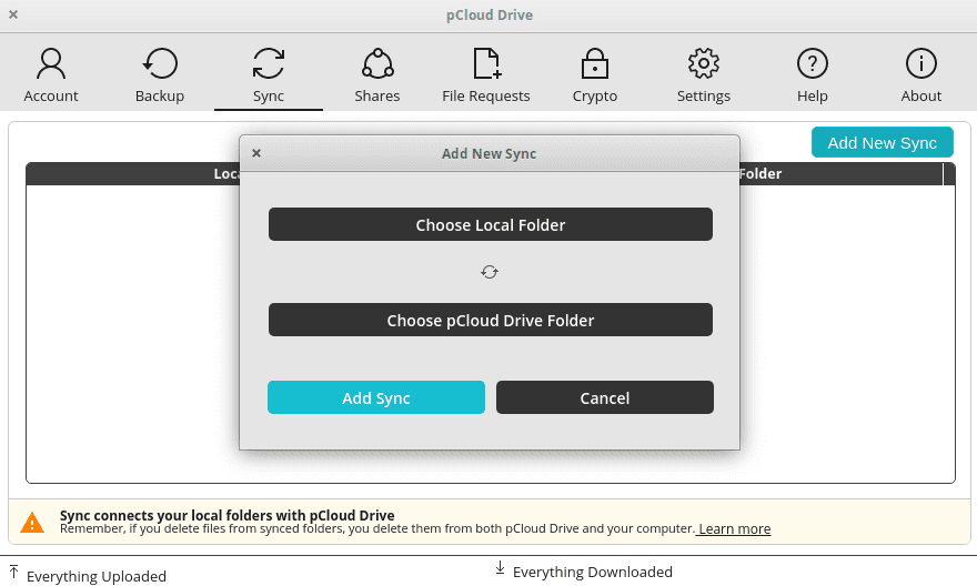 Sync options after selecting add new sync in pCloud