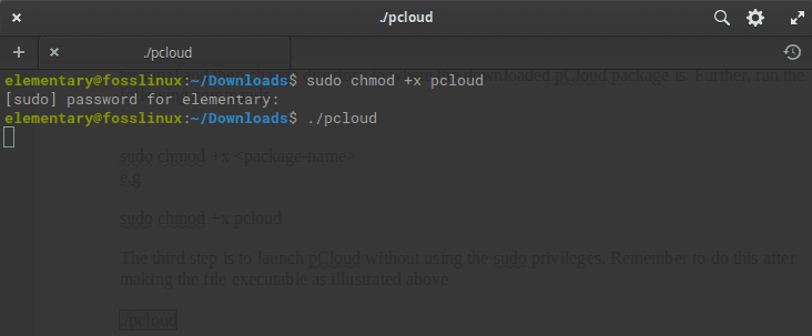 launch pCloud without using the udo privileges