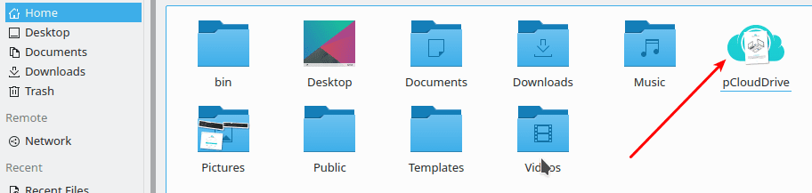 pCloud Home Folder