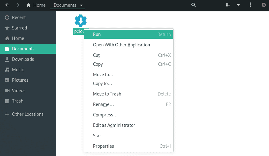 pCloud binary file with execute permissions