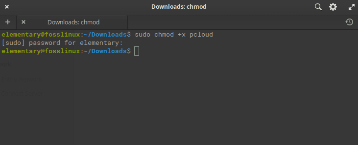 sudo chmod +x pcloud