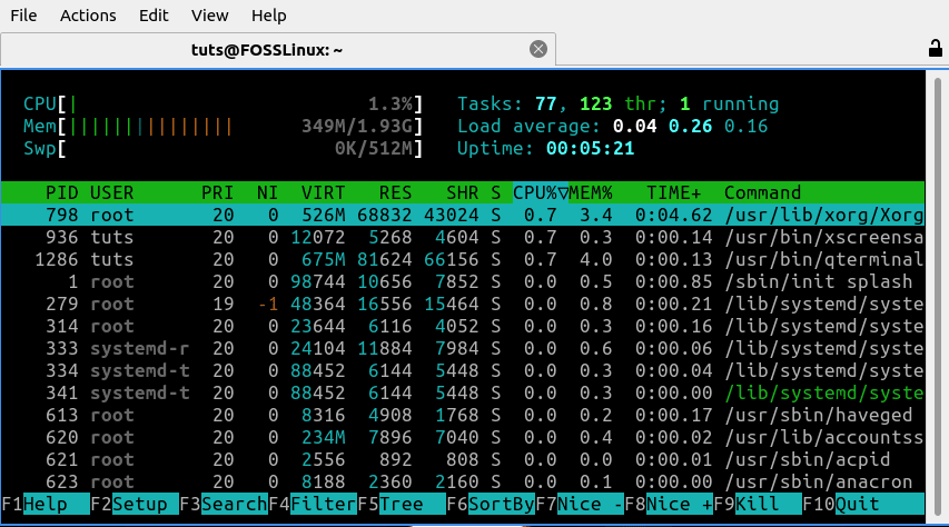 Lubuntu htop Output