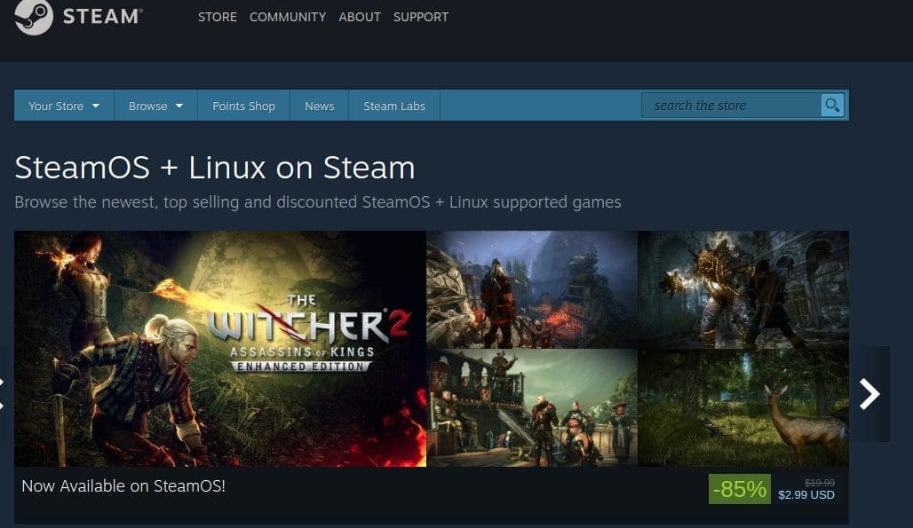 Steam + Linux