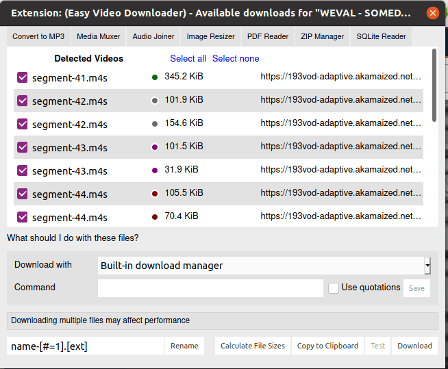 Flash Video Downloader